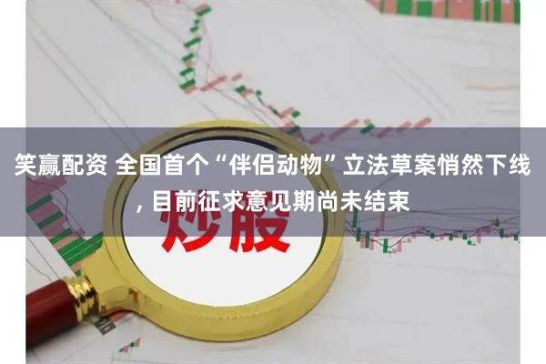 笑赢配资 全国首个“伴侣动物”立法草案悄然下线, 目前征求意见期尚未结束